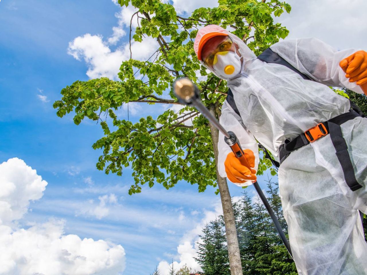 Diserbo stradale e eliminazione erbe infestanti